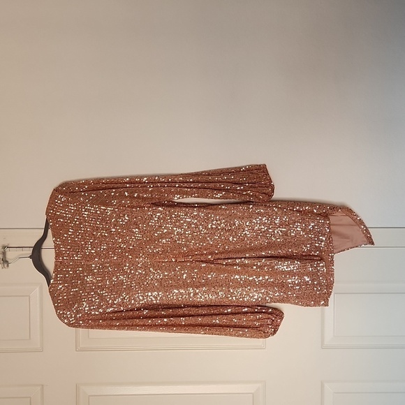 ✨️NWT HELLO MOLLY ZOE SEQUIN DRESS in Bronze XL - Picture 10 of 15